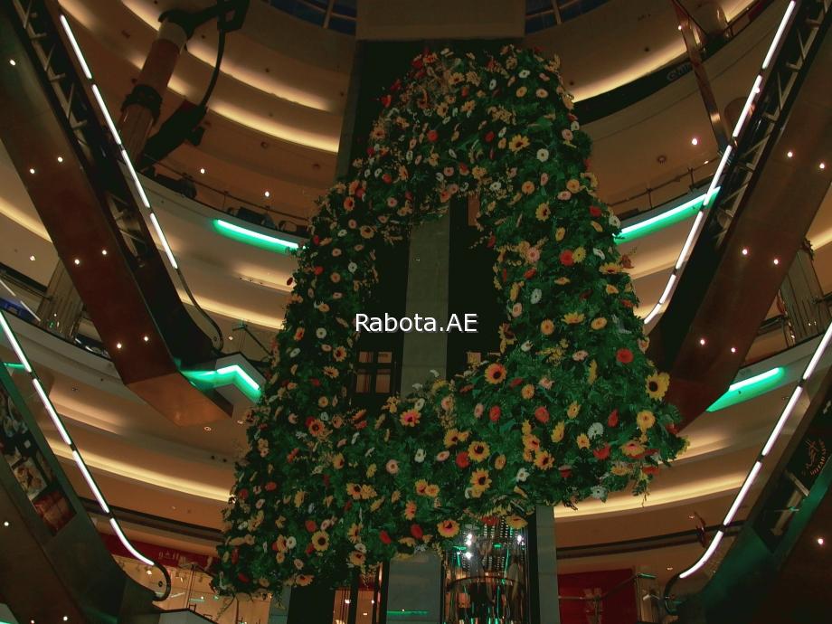 ���� ���� � ������ (���)