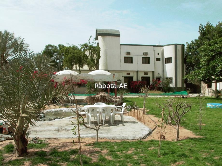 ����� � �������