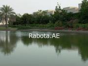 ����� � ������ �����? ����!