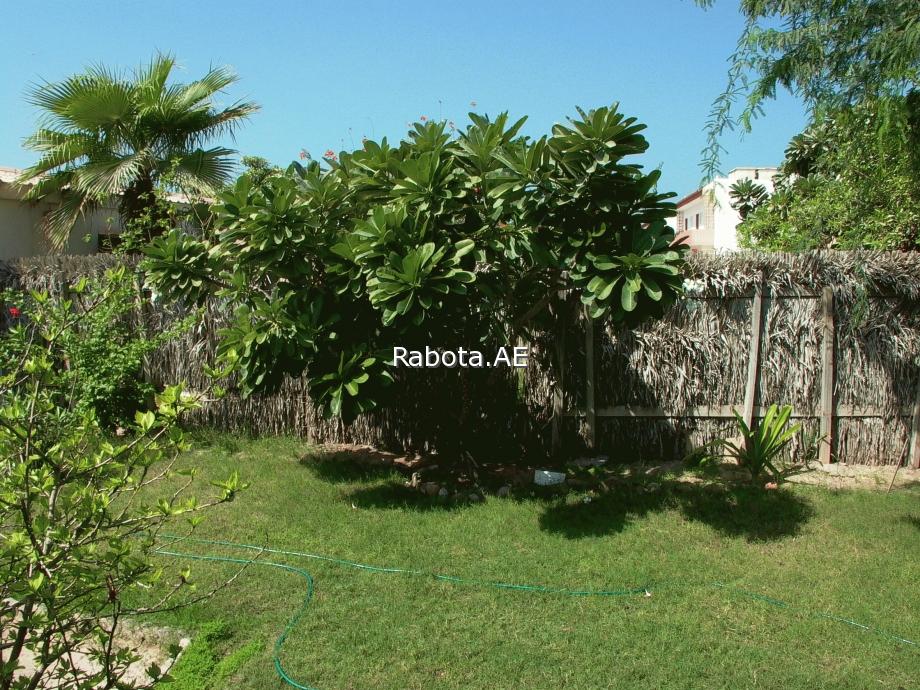 �� ����� ����� � ������