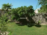 �� ����� ����� � ������